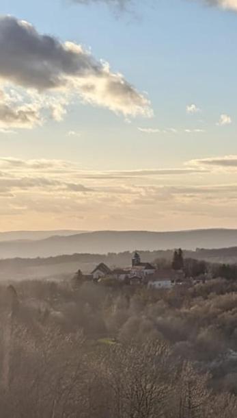La Maison Du Voyageur 1546 Passavant エクステリア 写真